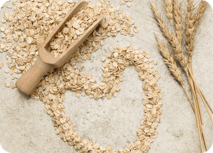Welcome to the Planet Oat Project